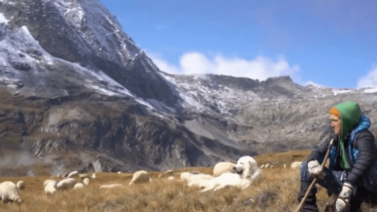 Mountain: angry shepherds denounce their housing conditions in rap