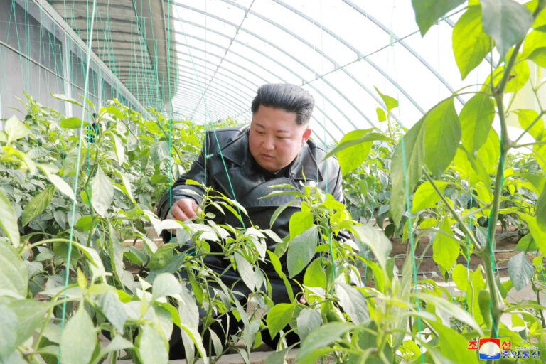 North Korea |  Kim Jong-un calls for increased agricultural production, fears of shortage