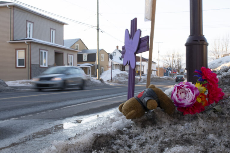 Pedestrian Safety |  A Mother’s Call for Help