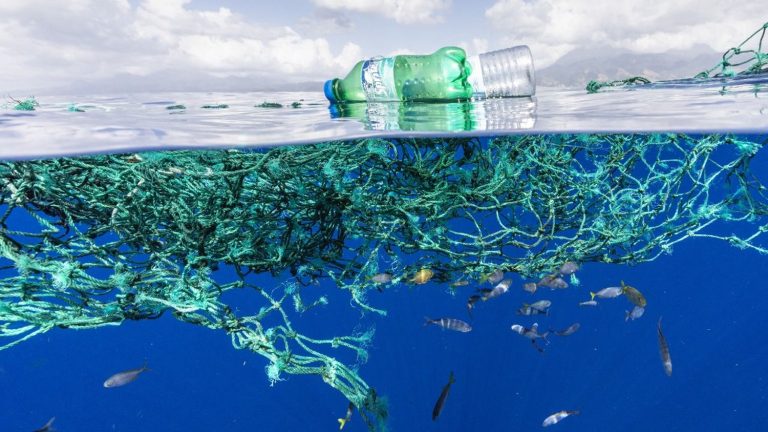 Plastic pollution in the world’s oceans has reached ‘unprecedented levels’, study finds