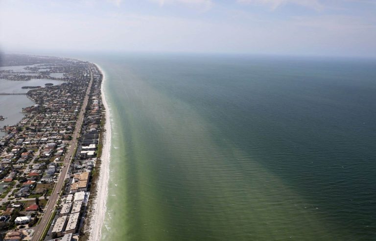 Red tide sweeps across Florida coastlines causing health concerns