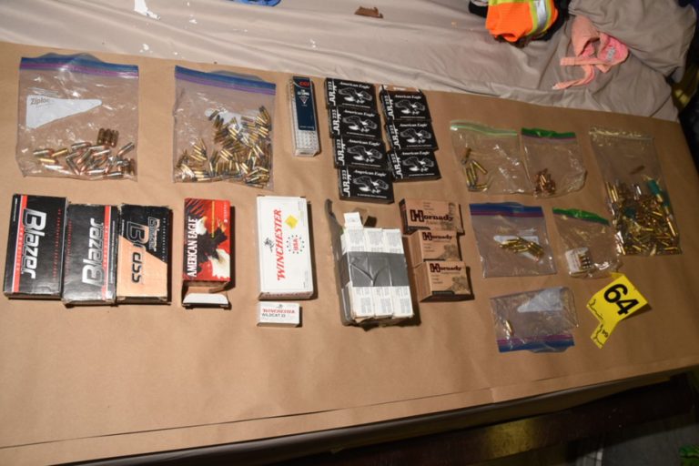 Sentenced to seven years’ imprisonment |  Guns, silencers and ammunition all over the house