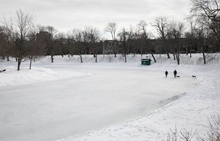 Shorter and later skating seasons in Montreal