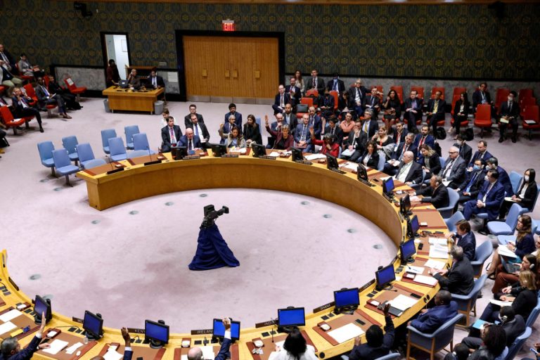 South Sudan |  Security Council renews UN mission for one year