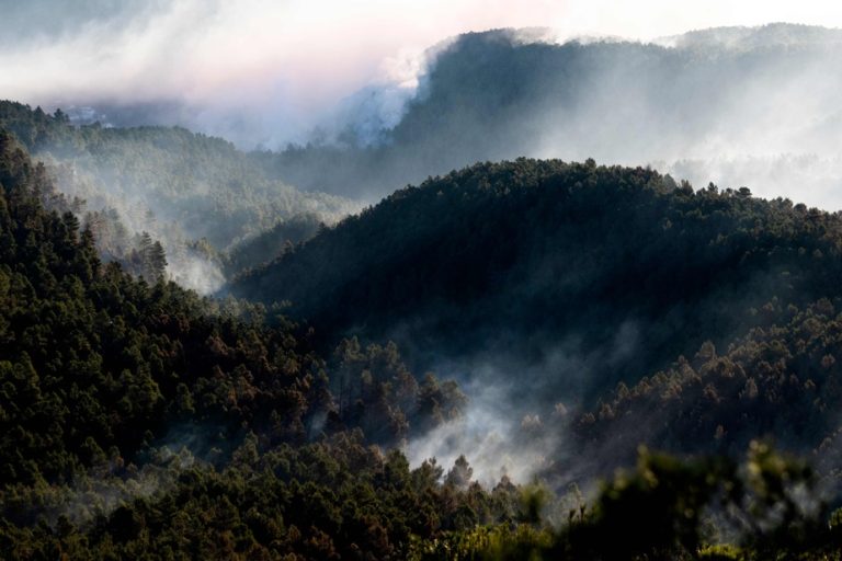 Spain |  First major forest fire of the season, 1,500 people evacuated