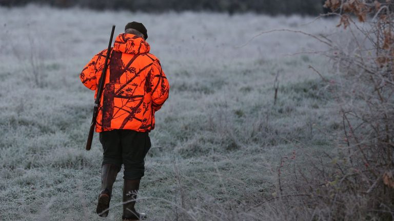 TRUE OR FAKE.  Do French hunters kill 21 million animals a year?