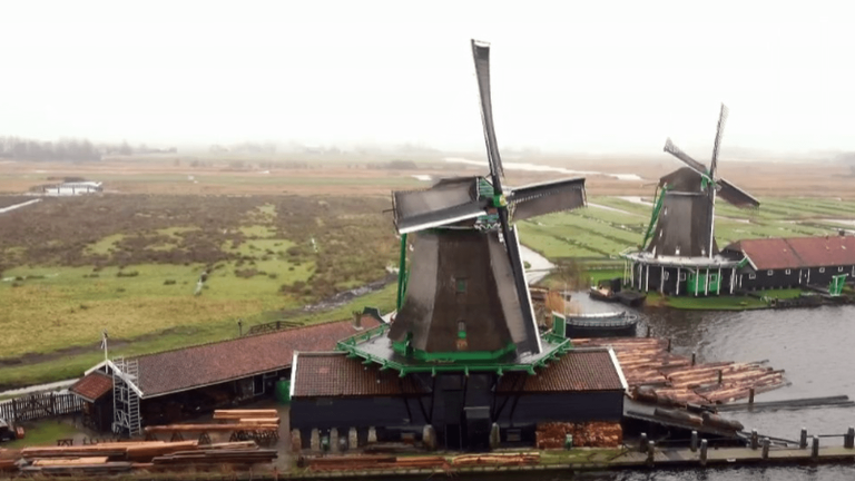 The Netherlands: the flagship country of mills