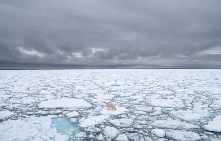 The United Nations approves the 6th report of the IPCC