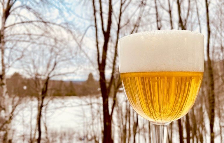 The richness of maple beer