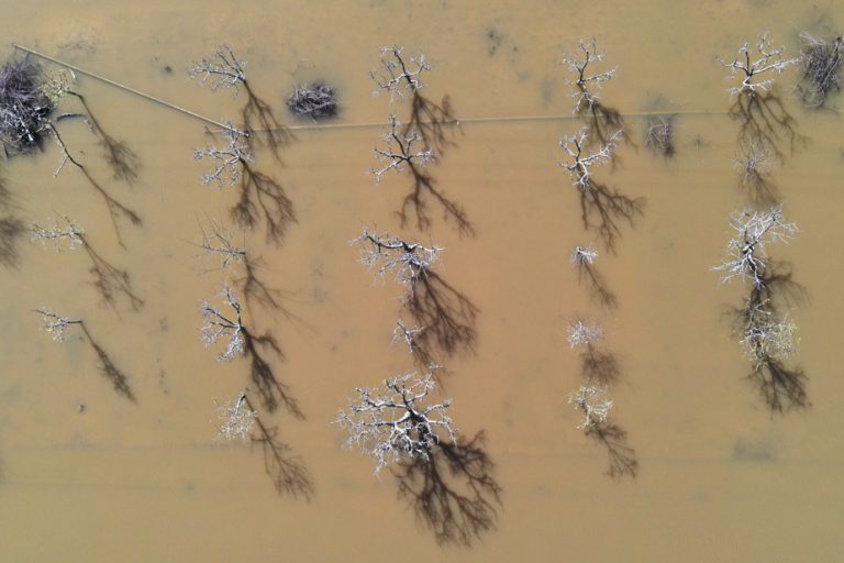 Torrential rains in California |  A vanished lake about to reappear