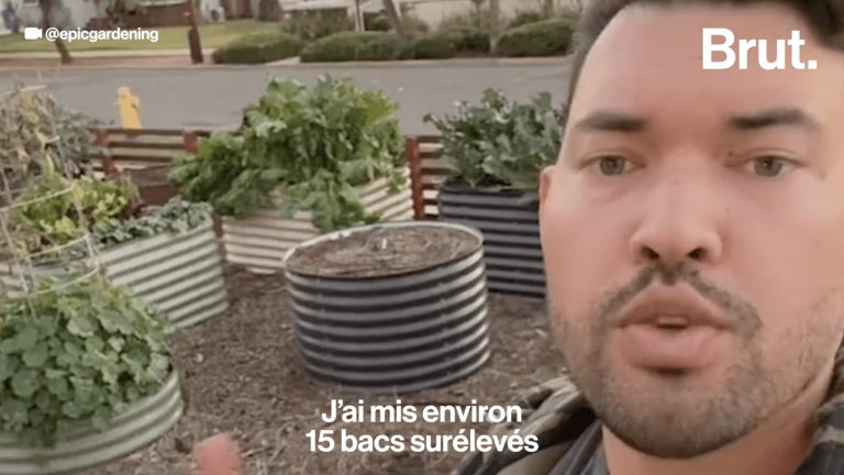 VIDEO.  He transformed his yard into a sustainable and self-sufficient garden