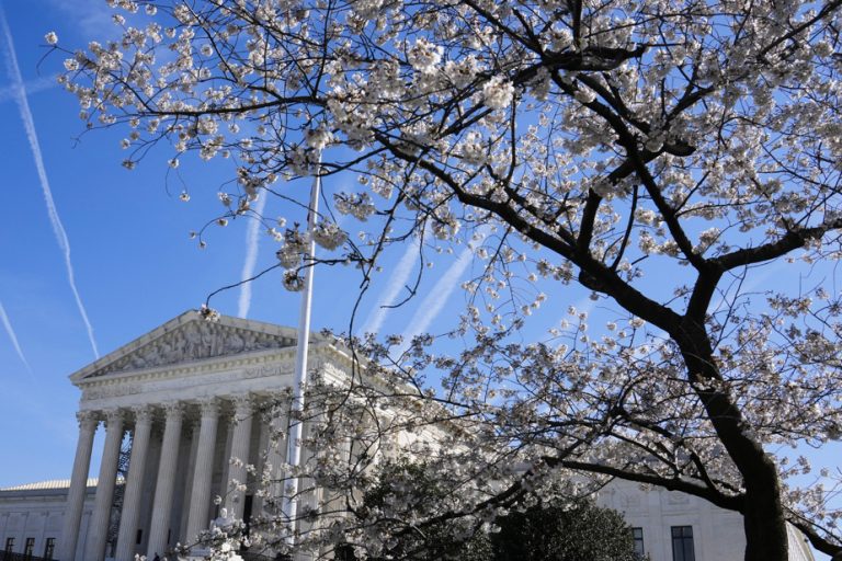 Washington’s cherry blossoms attract visitors as early as daybreak