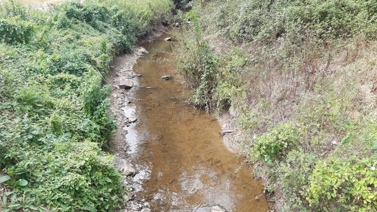 “We must completely review our relationship with water”, pleads a researcher, specialist in water issues