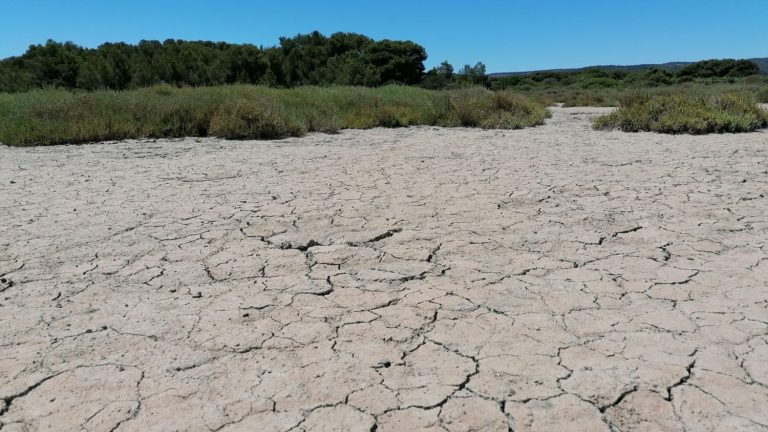 the 1.5 degree increase, set by the Paris Agreement, largely exceeded in Europe over the past five years according to Copernicus