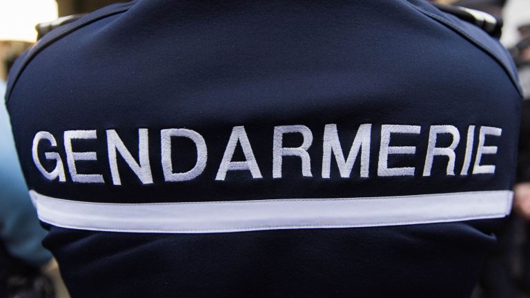 a gendarme and the niece of Gérald Darmanin in police custody for having illegally consulted confidential information