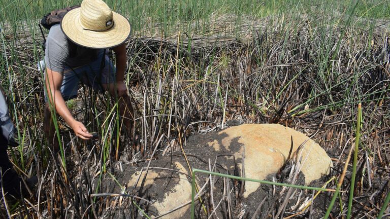 a new statue discovered in a dry lagoon