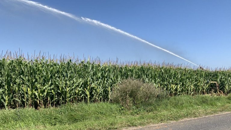 agriculture, power plants and drinking water on the podium of the most consuming sectors in France