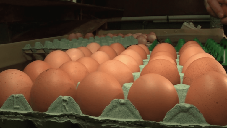 eggs are getting more and more expensive