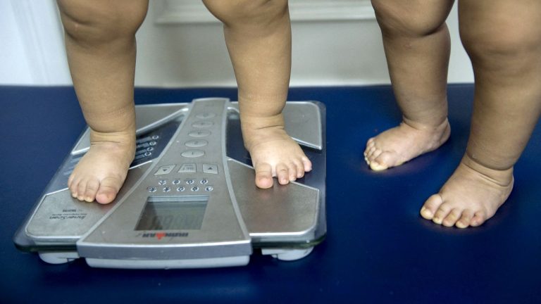 franceinfo junior.  What to know about overweight in children