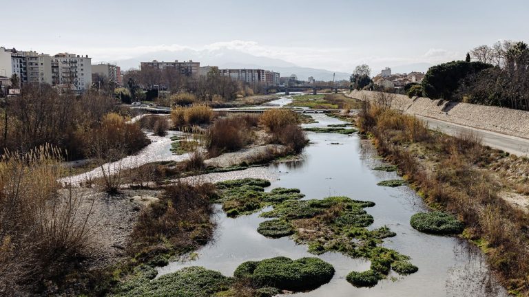 in Perpignan, a religious procession will be organized to implore the rain