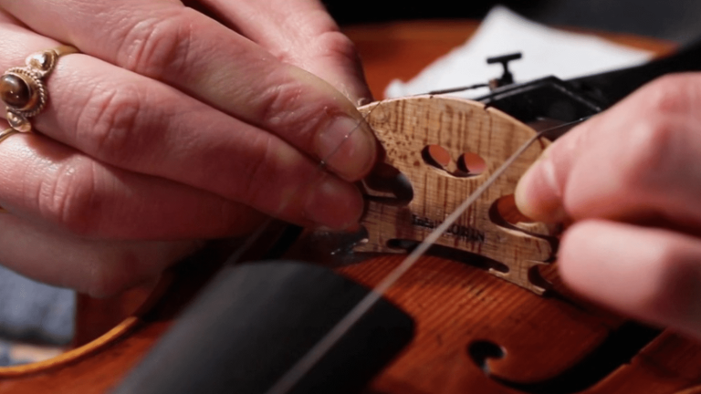 luthier, a life in harmony with the violin