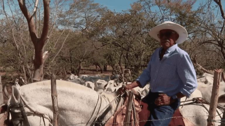 on the Nicoya Peninsula, centenarians are legion