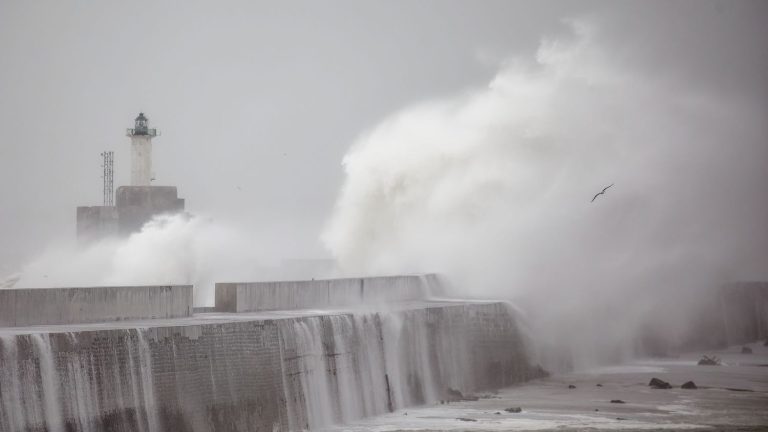 one death in the Vosges, “tornadoes” in Indre and Vienne, 12,500 homes without electricity in Bourgogne Franche-Comté