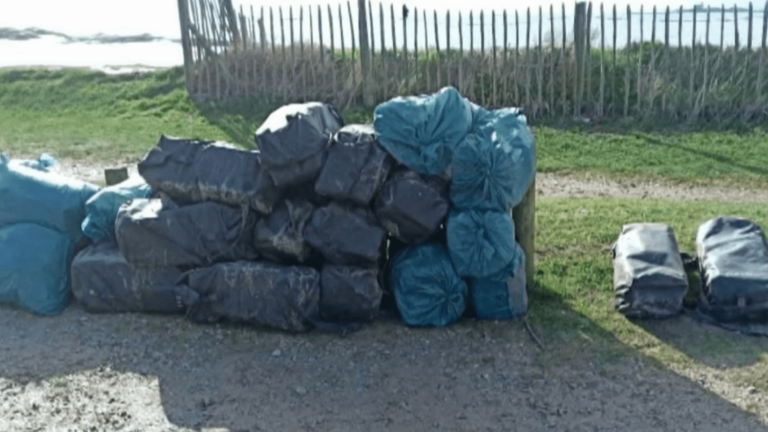 record seizure on a Cotentin beach