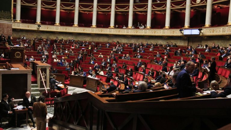 the National Assembly rejects in first reading the controversial reform of the government