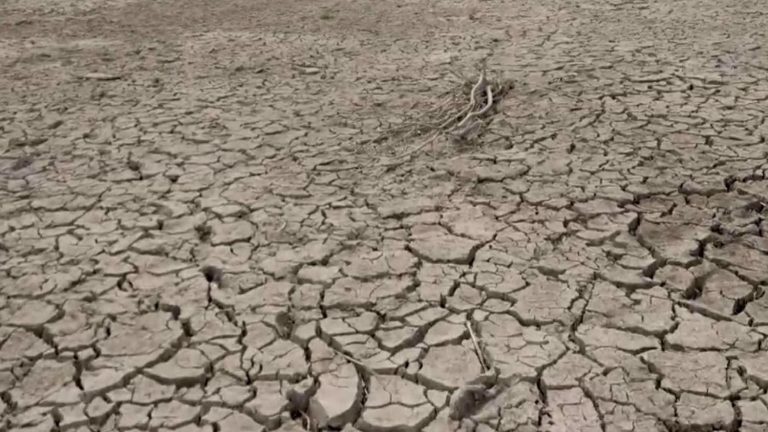 the department on drought alert