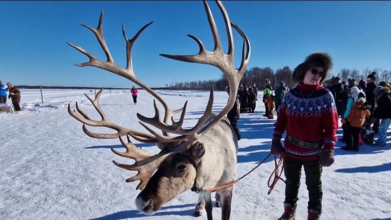 the tradition of reindeer racing lives on