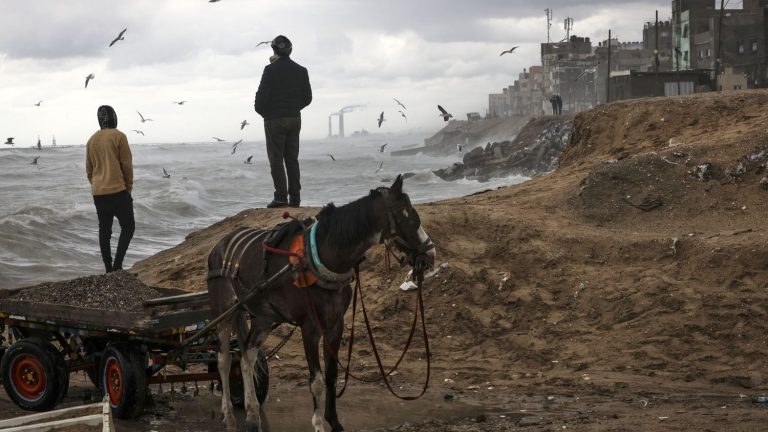 these young Palestinians fleeing Gaza at the risk of their lives