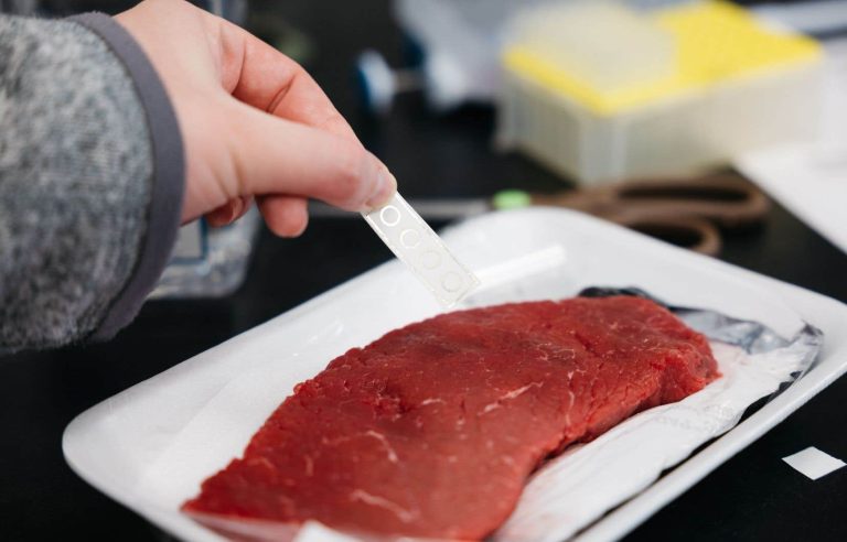 A paper sensor to detect spoiled meat