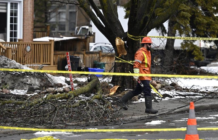 After the ice storm, picking up branches day and night during the Easter holiday