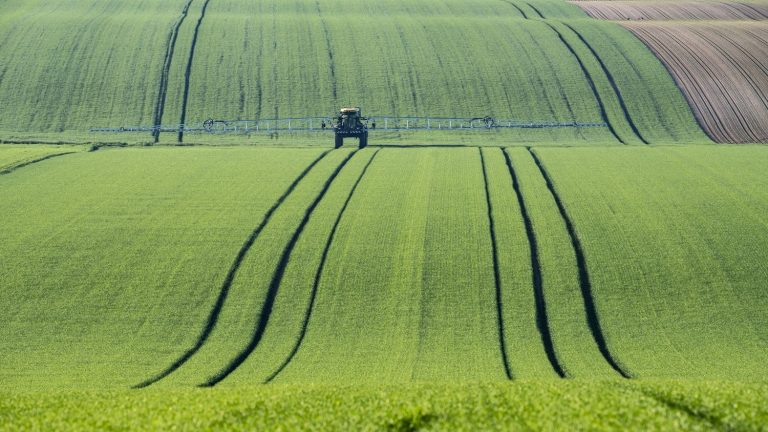 Agriculture lacks hands