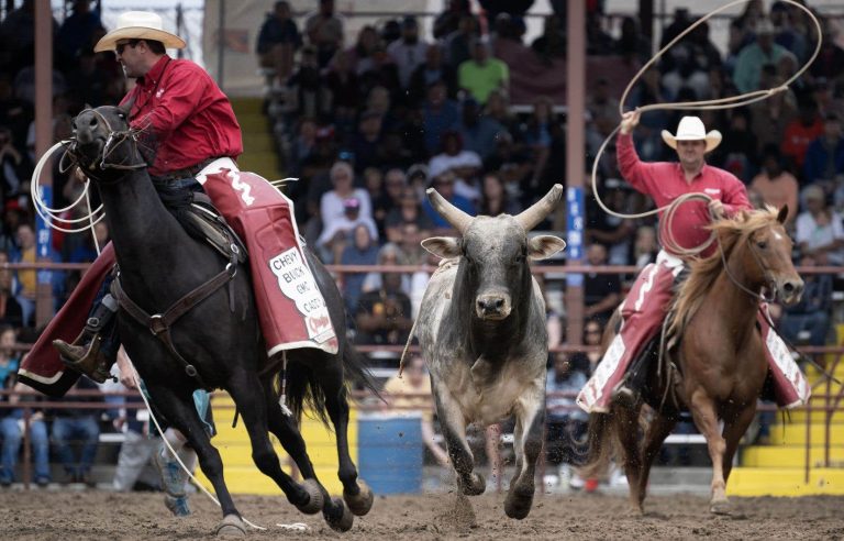 An action for animal abuse against the Festival western de Saint-Tite is dismissed