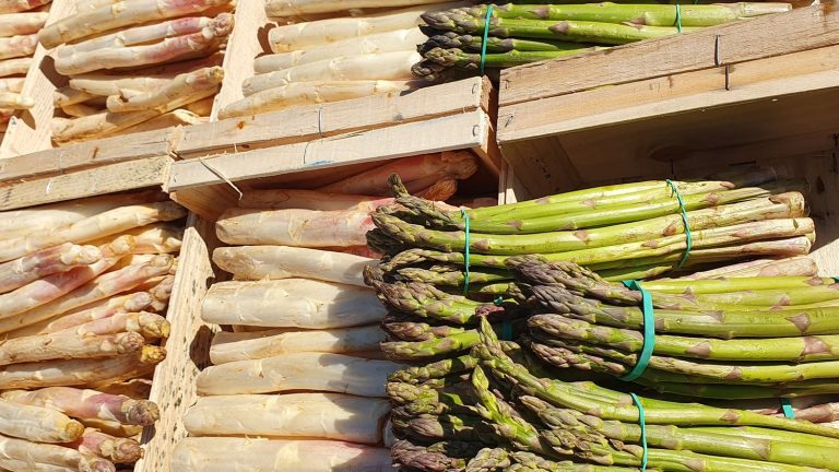 Asparagus, the first true marker of spring