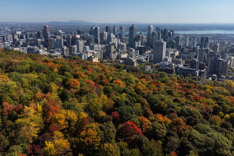 At a Glance |  The (many) construction sites of Mount Royal