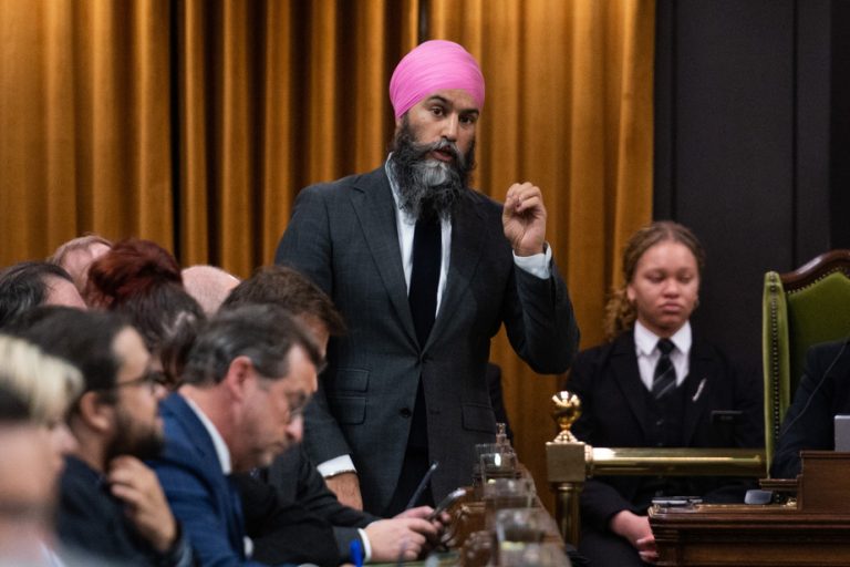 Ban on assault-type weapons |  The NDP will present new amendments to Bill C-21