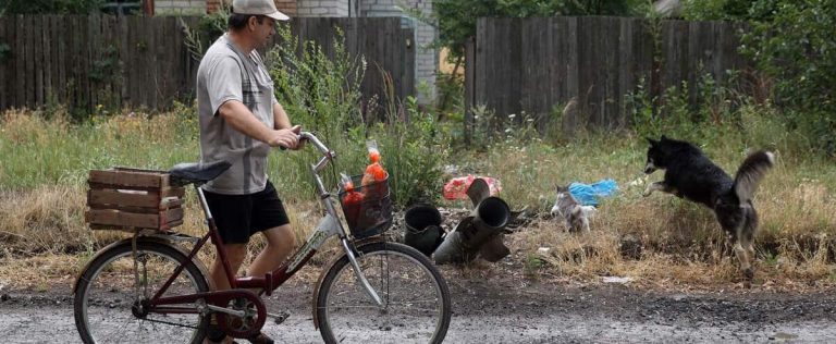 Cat hunting contest open to children canceled in New Zealand after outcry