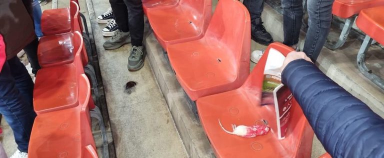 Dead rats thrown between spectators during a soccer match in Belgium