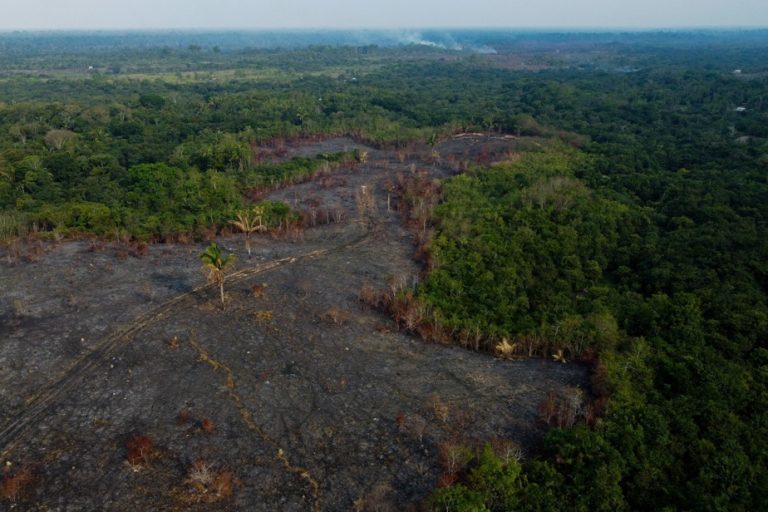 Despite Lula’s promises, still more deforestation in the Amazon