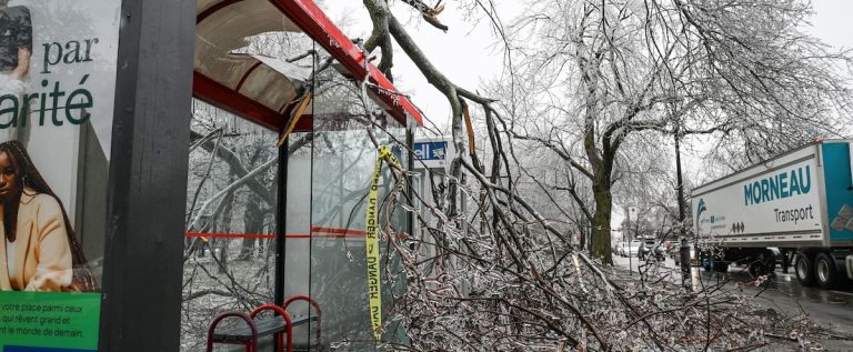 [EN DIRECT] Everything you need to know about the ice storm paralyzing Quebec