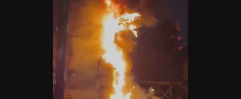 [EN VIDÉO] A giant dragon destroyed by flames at Disneyland