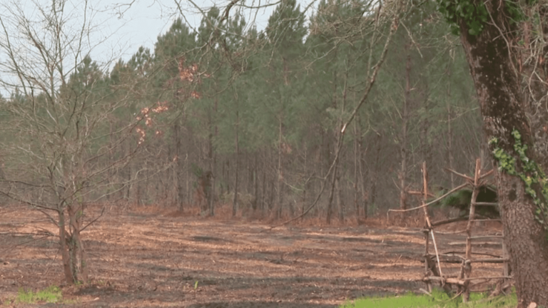 Fires: the municipalities of Gironde on the front line facing the flames