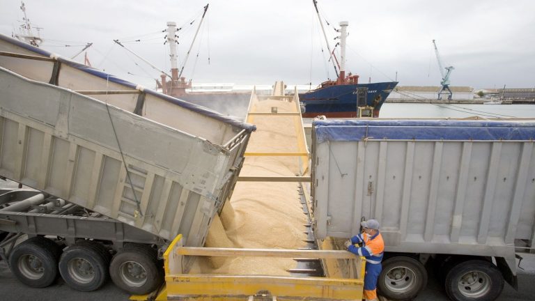 France will reverse the ban on an insecticide to preserve its cereal exports