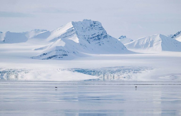 From the Arctic to the Antarctic, a race to save the memory of the climate