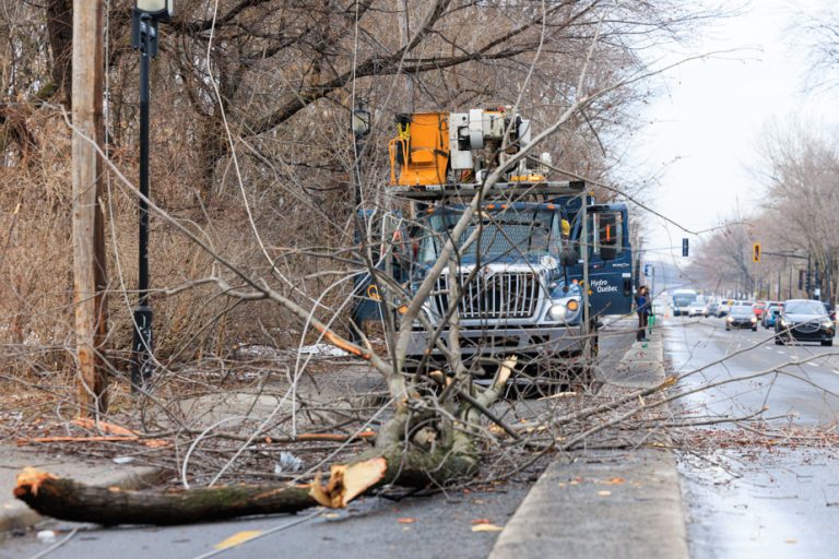 Ice Storm |  More than 4,500 branches and 900 fallen trees have been reported in Montreal