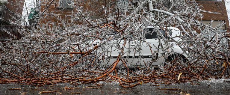 Ice storm: Quebecers are (really) strong