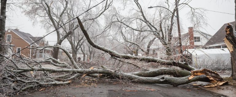 Ice storm: less than 15,000 Hydro-Québec customers to be reconnected